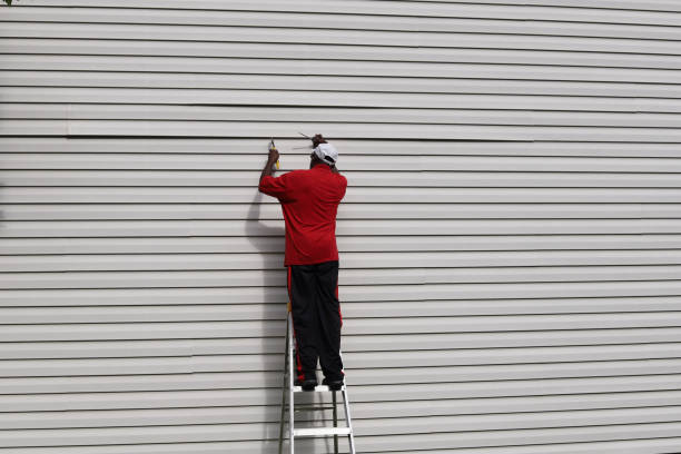 Best Siding Painting and Refinishing  in Vandercook Lake, MI